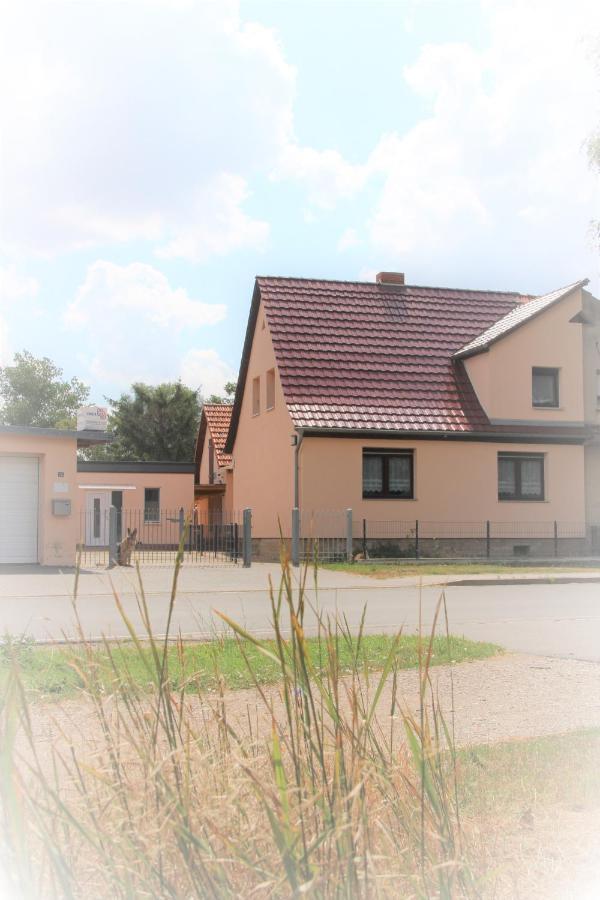 Landhaus "Zum Frosch" Kalbsrieth Luaran gambar
